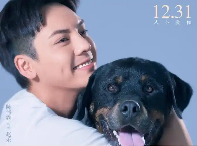 陈伟霆主演电影宠爱定档1231携萌宠陪你温暖跨年