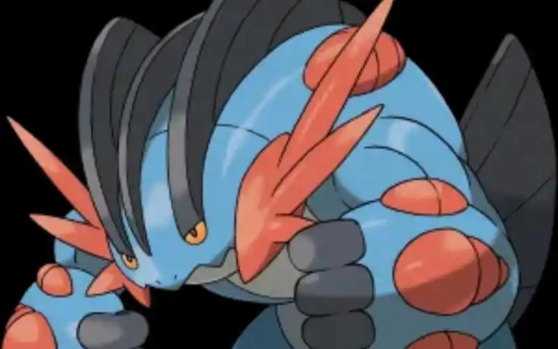 全国图鉴260究极绿宝石53mega巨沼怪培养