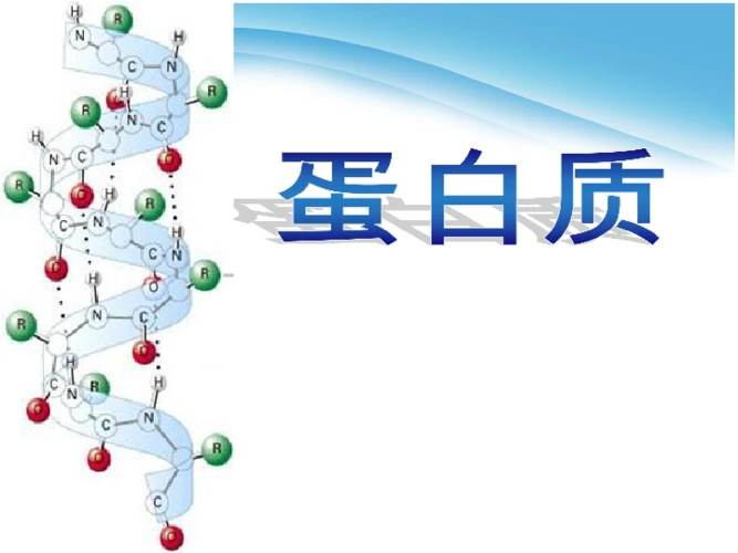 沪教化学九下第3节蛋白质维生素18张ppt