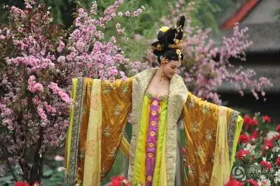 武媚娘传奇聂玫 饰 刘贤妃