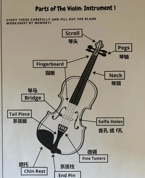 小提琴初学必知:琴的结构与基础