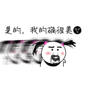 是的我的确很美小辫子红脸蛋虚影搞笑gif动图_动态图_表情包下载_soo
