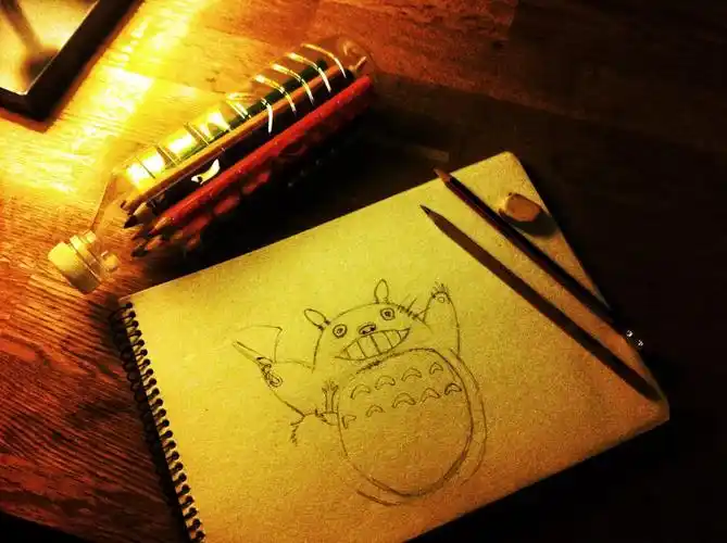 彩铅|龙猫(附部分绘画过程)