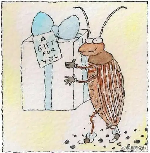 九成人不知"蟑螂的天敌"是啥?这笨招使用一次,蟑螂"消失了"