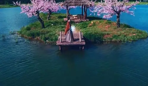 三生三世十里桃花 夜华白浅