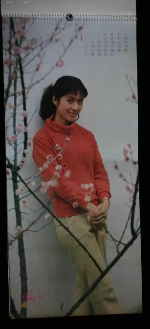 1985年电影明星挂历