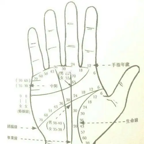 推断年龄或生肖地支对应的十二生肖及掌上推生肖法及推年龄法子(老鼠)