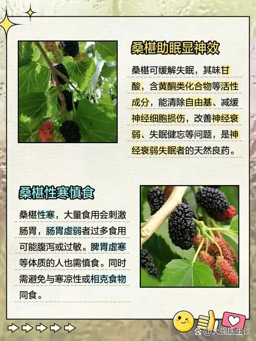 桑椹的作用和功效及副作用禁忌 姐妹们,你们知道吗?