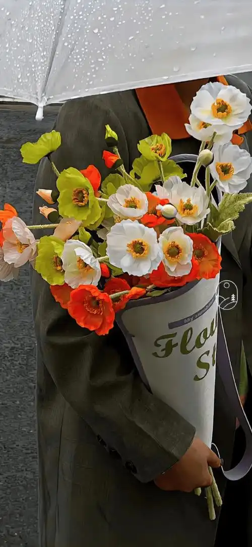 壁纸氛围感小众ins风锁屏高清