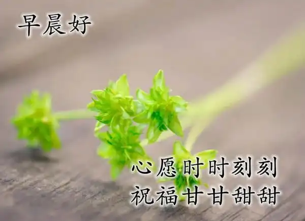 希望我们都可以爱得自在,你来我热情相迎,你走我也没有遗憾.早安!