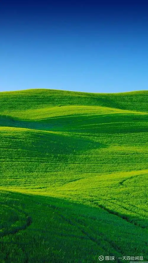 我站在高岗上向下望,那一片草原绿茫茫$中远海控(sh601919)$ 我带着你