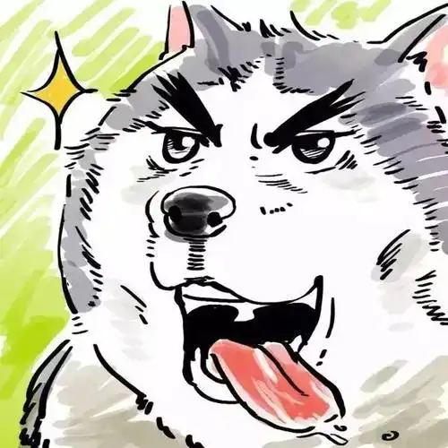 动漫情头搞怪魔性哈士奇