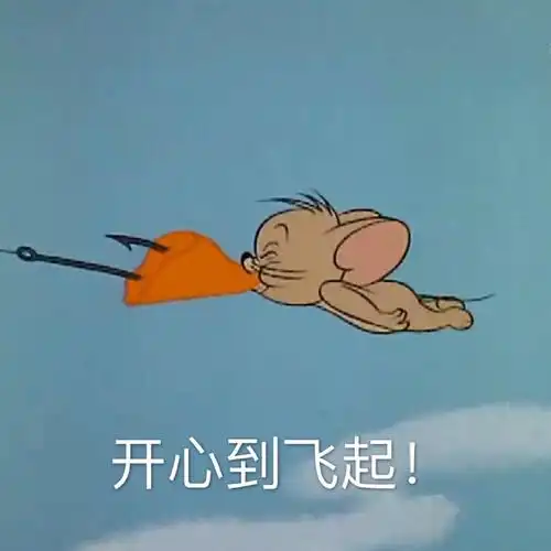 开心到飞起飞起开心表情