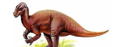 恐龙有几个脚指头我咋数不清呢