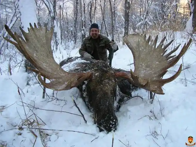 堪察加狩猎驼鹿游记 - 狩猎资讯 - 我爱狩猎俱乐部