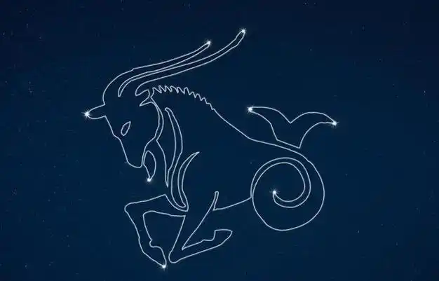 星座学:十二星座里最富有的星座!|财运|摩羯座|四大星座_网易订阅