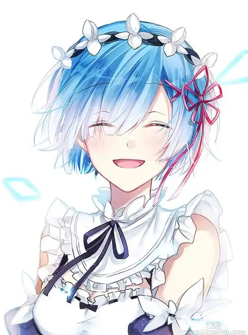 会员re从零开始的异世界生活雷姆蕾姆高清图片cg包4051p