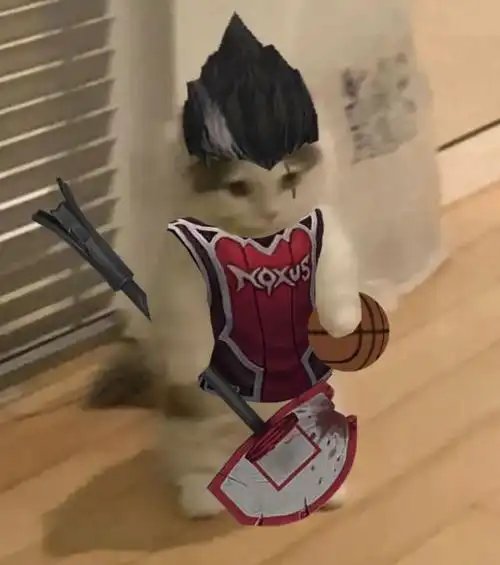 英雄联盟猫猫表情包第五期