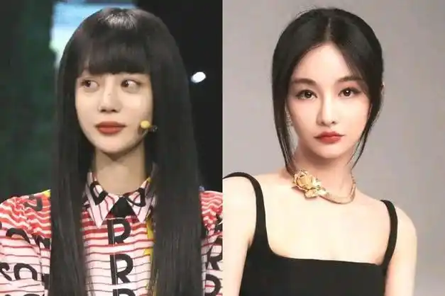 网传是因为擅长唱歌的袁娅维被分到舞蹈组,而她本人只想唱