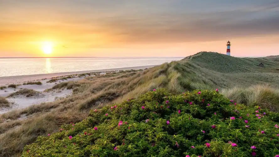 日落 大海 海岸 灯塔5120x2880壁纸