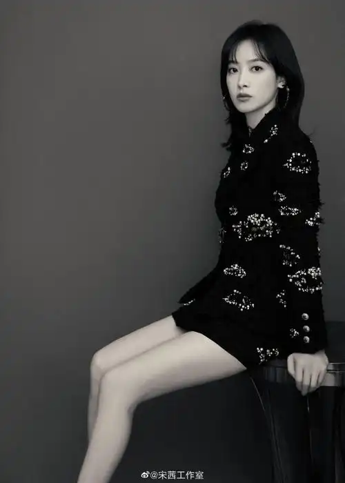 宋茜穿黑金刺绣套裙知性优雅美腿吸睛