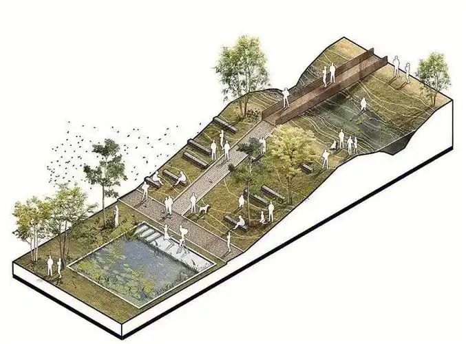 景观节点场地分析图