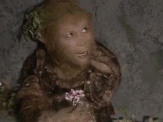 热点热门 萌宠表情 萌娃表情 斗图表情 锦鲤 土味语录 套路图