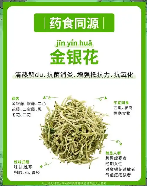 金银花:从忍冬到清热解毒的神奇之花 🌸