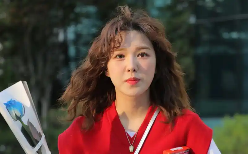 元气小狗治愈打工人一天的不快乐 wendy/孙胜完/red velvet_哔哩哔哩