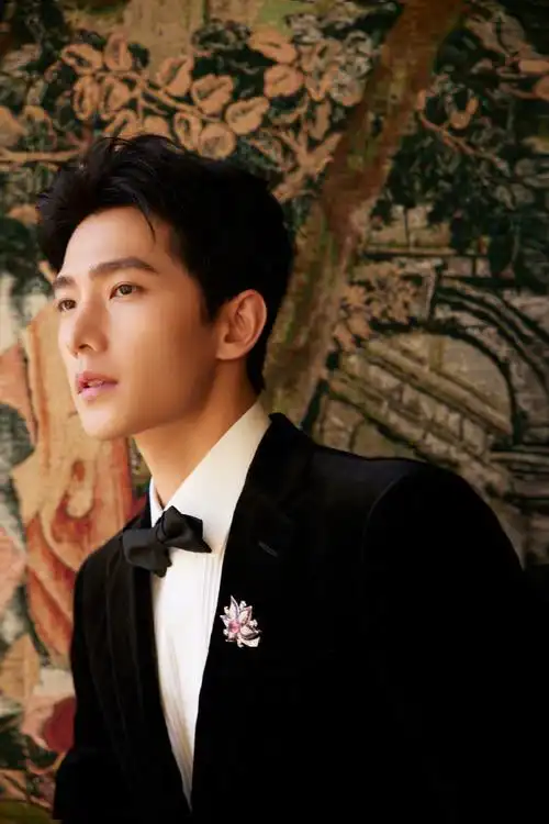 杨洋威尼斯活动生图##杨洋胸针