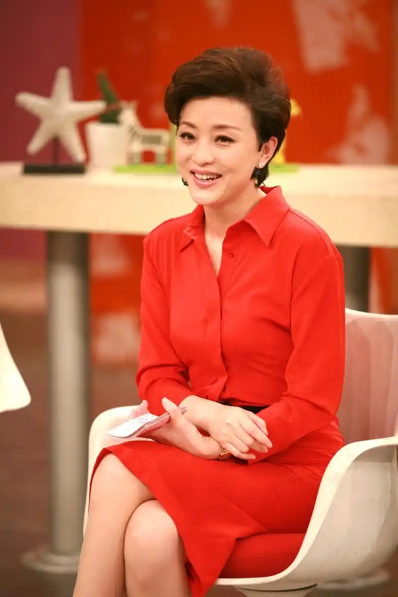 杨澜|简介|访谈录_图集_女人百科_网易女人