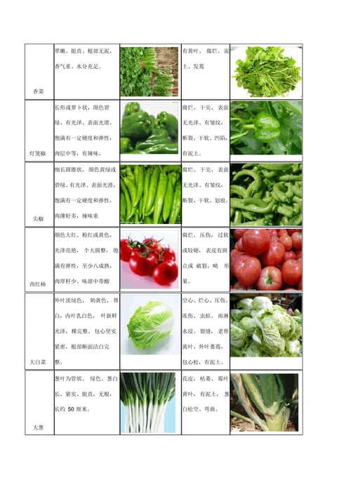 60种常见蔬菜收货验收标准_收货_验收_蔬菜