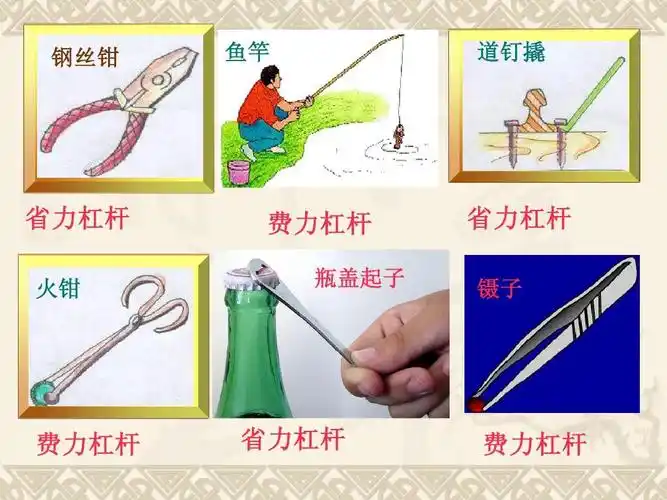 钢丝钳 鱼竿 道钉撬 省力杠杆 火钳 费力杠杆 瓶盖起子 省力杠杆 镊子