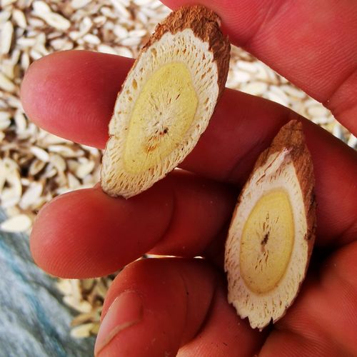 野生黄芪 陕北子洲黄芪 5~10年正北黄芪生黄芪贵族250g