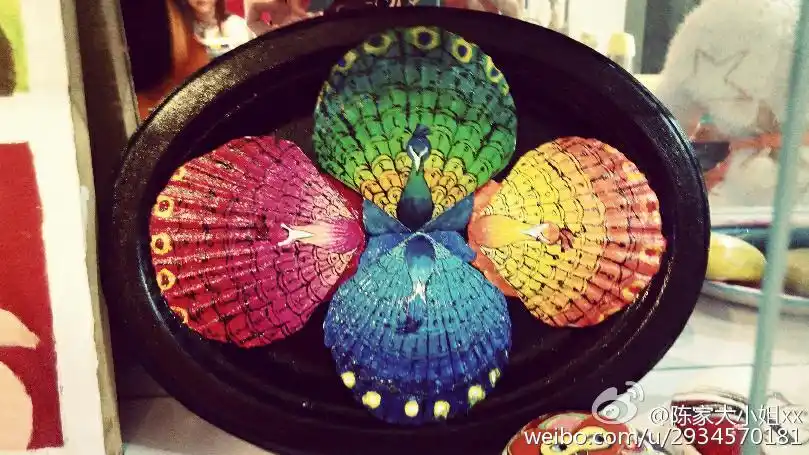 贝壳手绘美美哒孔雀