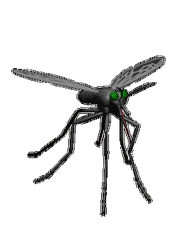 蚊子的威力——寨卡病毒