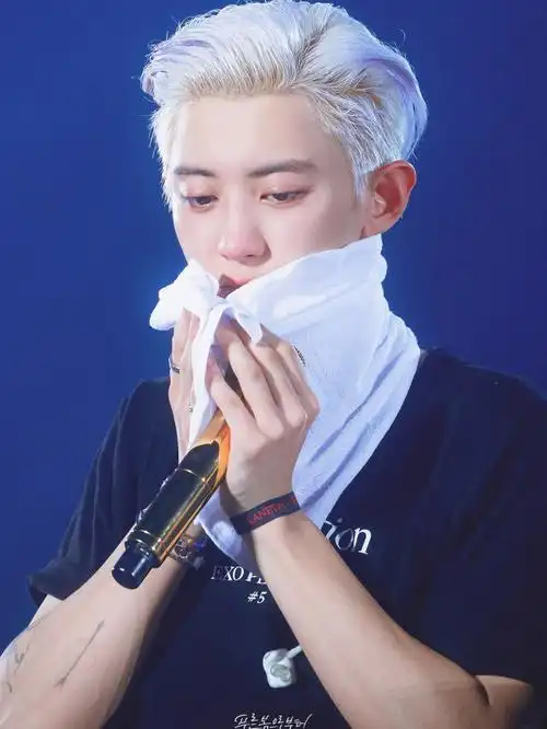 演唱会系列朴灿烈单