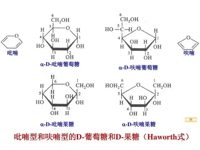 生物化学 糖类代谢 课件ppt