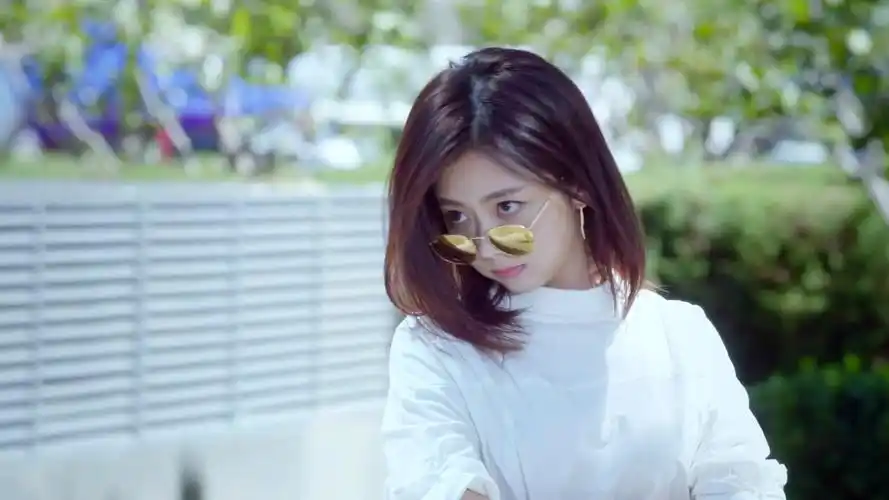 狐狸的夏天电视剧免费观看