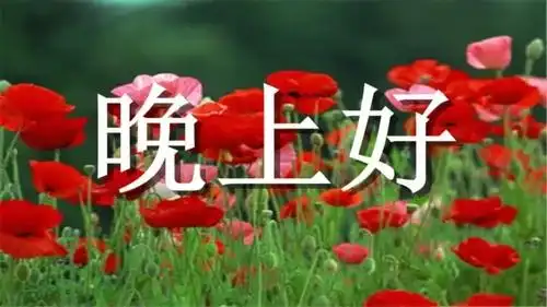 发给老同学们,晚上好