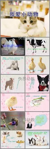 中班我爱小动物ppt课件教案