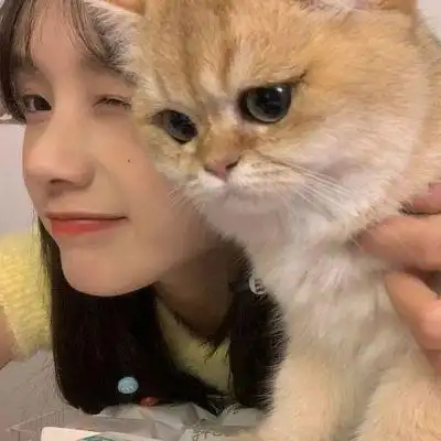 好看的女生抱猫咪头像可爱女生抱着猫咪的头像高清