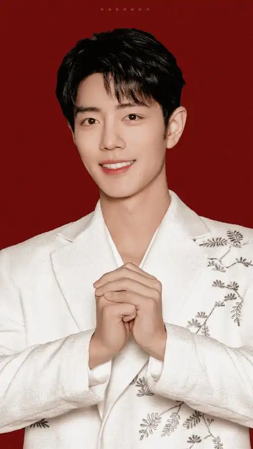 肖战##肖战北京台春晚海报