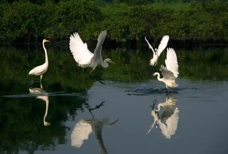 全网四百万粉丝背后的男人人到中年依旧永葆初心心怀梦想