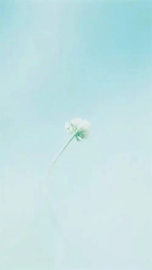 小清新,简约壁纸,小清新,简约,图案,云朵,手机壁纸小清新简约图案