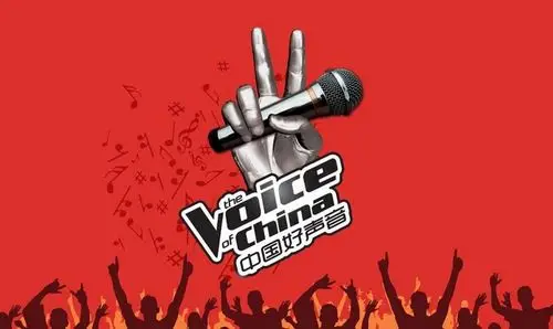 大出血!暴风盗播《中国好声音》 赔偿600万