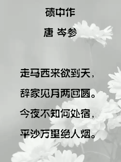 每周一首古诗词8碛中作