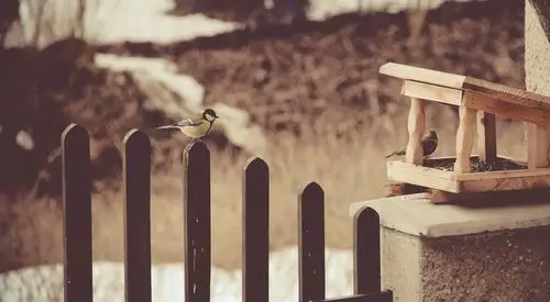互动问答  如果给自己一个机会,愿意回到过去的哪一个年龄段?