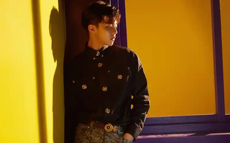 陈立农帅气前卫写真桌面壁纸