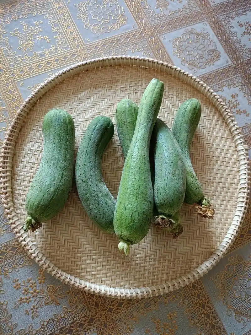 炸丝瓜,真好吃!